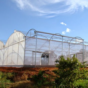 ultimas-obras-05